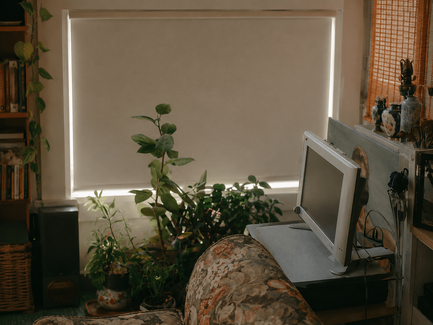 Why Do Blackout Roller Shades Still Let Light In? Causes and Easy Fixes